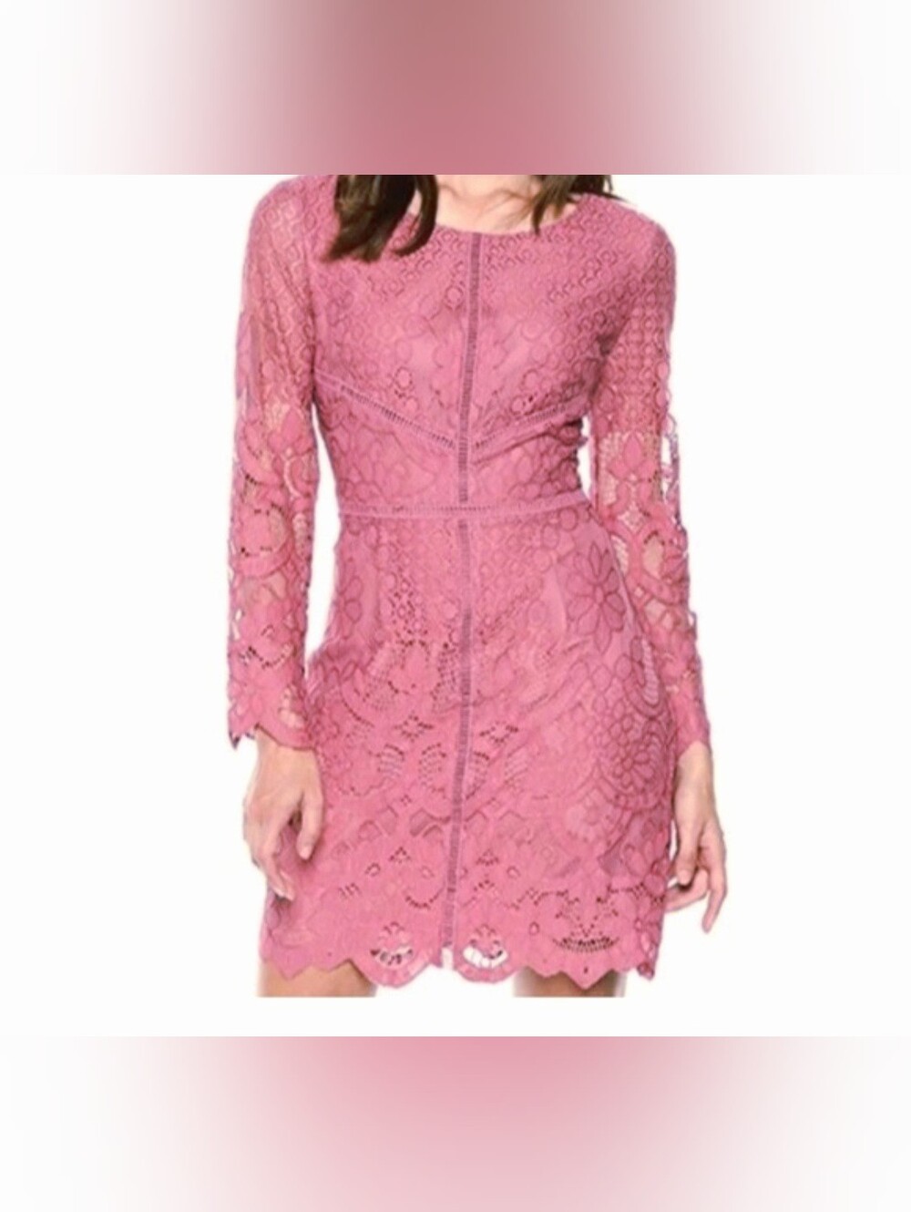 Cupcakes and Cashmere Women's Dusty Rose Lace Dress Lined Size 4,  Family Pics